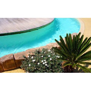 Лайнер однотонний Renolit Alkorplan 2000 Caribbean Green
