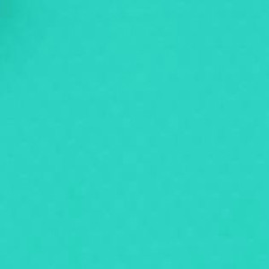Renolit Alkorplan 2000 Caribbean Green 1.65x25m Лайнер (плівка) ПВХ однотонний для басейну
