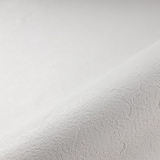 Плівка ПВХ (лайнер) текстурна Renolit Alkorplan Relief White 1.65x25m для басейну