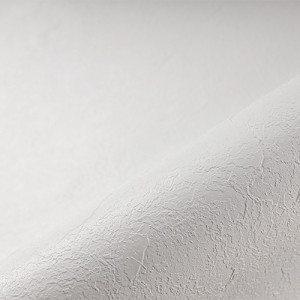 Пленка ПВХ (лайнер) текстурная Renolit Alkorplan Relief White 1.65x25m для бассейна