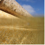 Лайнер ПВХ для басейну Elbe Pure Terra Sand